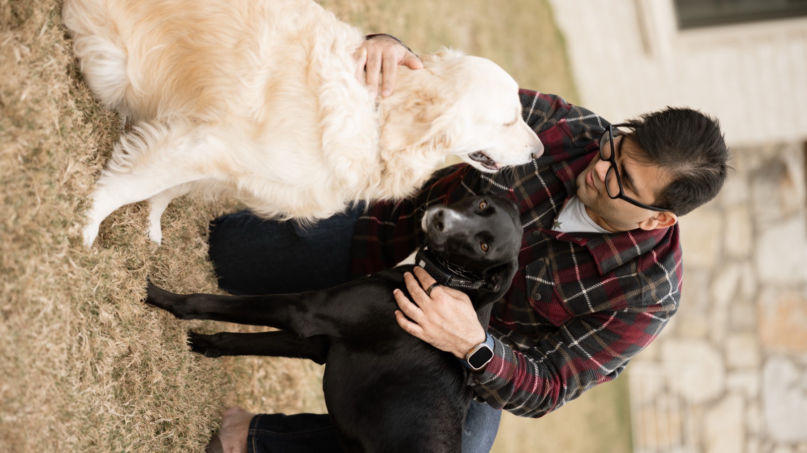 With the dogs